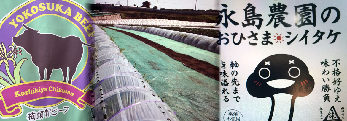 横須賀ローストビーフや地の野菜をふんだんに使い地産地消を目指してます。